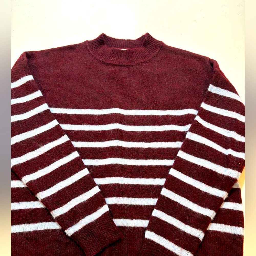 Sundry Burgundy and blue stripe sweater